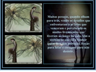 Muitas pessoas, quando olham para trás, vendo os desafios que enfrentaram e as lutas que venceram e percebendo os muitos livramentos que tiveram ao longo da vida, têm a certeza de que foi o Senhor quem lhes deu proteção, forças para lutar e coragem para não desistir. 