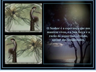 O Senhor é a esperança que nos mantém vivos, e a Sua força é a razão de seguirmos vivendo, apesar das tempestades. 