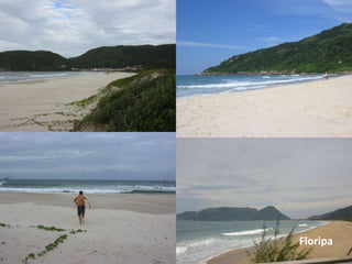 Floripa