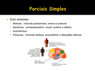  Com sintomas:
 Motores - incluindo jacksoniana, versiva e postural
 Sensitivos - somatossensitivo, visual, auditivo e olfativo
 Autonômicos
 Psíquicos - incluindo disfasia, alucinatórios e alterações afetivas
 