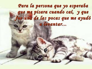 Para la persona que yo esperaba que me pisara cuando caí,  y que fue una de las pocas que me ayudó a levantar... 