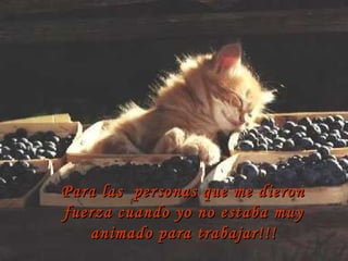 Para las  personas que me dieron fuerza cuando yo no estaba muy animado para trabajar!!! 