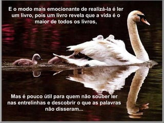 Existem tantas coisas para experimentar, e a nossa pas-sagem pela terra é tão curta, que sofrer é uma perda de tempo.  E o modo mais emocionante de realizá-la é ler um livro, pois um livro revela que a vida é o maior de todos os livros, Mas é pouco útil para quem não souber ler nas entrelinhas e descobrir o que as palavras não disseram... 