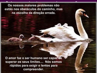 Podemos experimentar a neve no inverno e as flores na primavera, o chocolate de Perusa, a baguette francesa, os tacos mexicanos, o vinho chileno, os mares e os rios, o futebol dos brasileiros… Os nossos maiores problemas não estão nos obstáculos do caminho, mas na escolha da direção errada. O amor faz o ser humano ser capaz de superar os seus limites....  Nós somos rápidos para exigir e lentos para compreender. 
