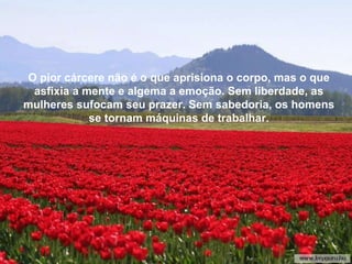 Se tu vences, serás mais humilde, mais agradecido... Portan-to, facilmente  feliz, livre do enorme peso da culpa, da res-ponsabilidade e da vaidade, disposto a viver cada instante profundamente, como deve ser.  O pior cárcere não é o que aprisiona o corpo, mas o que asfixia a mente e algema a emoção. Sem liberdade, as mulheres sufocam seu prazer. Sem sabedoria, os homens se tornam máquinas de trabalhar. 
