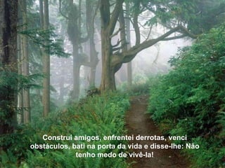 Eu fico bem, decidindo a cada instante o que desejo fazer, e graças a solidão conheço-me…  o que é fundamental para viver. Construí amigos, enfrentei derrotas, venci obstáculos, bati na porta da vida e disse-lhe: Não tenho medo de vivê-la! 