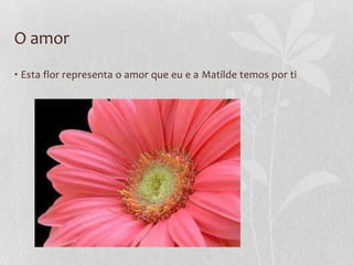 O amor
• Esta flor representa o amor que eu e a Matilde temos por ti
 