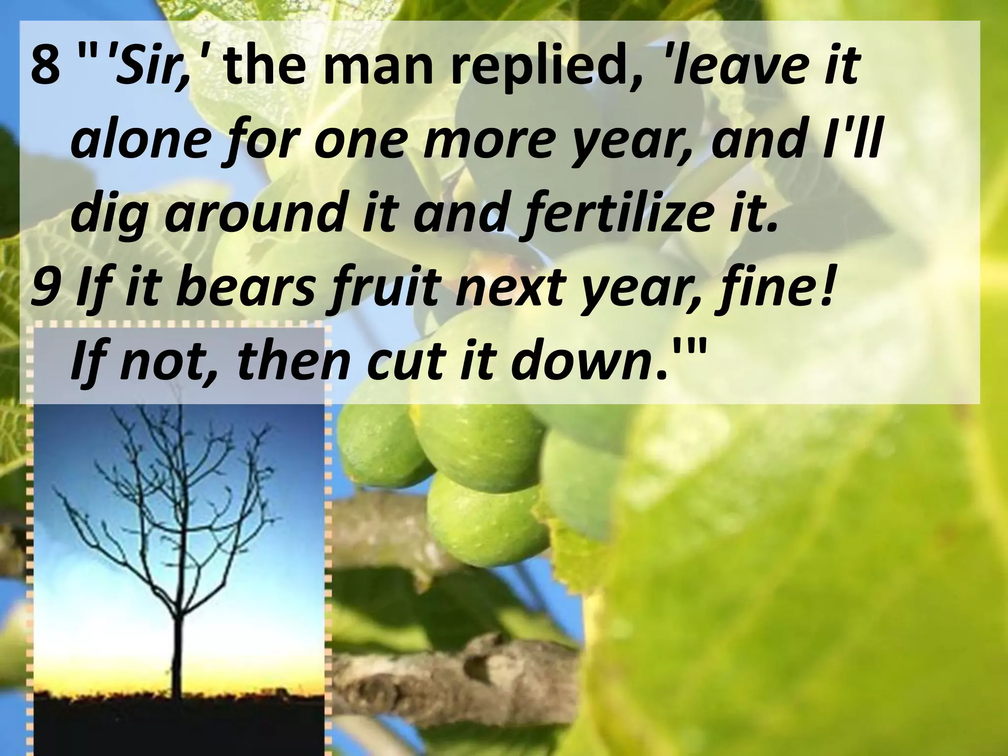 8 "'Sir,' the man replied, 'leave it
  alone for one more year, and I'll
  dig around it and fertilize it.
9 If it bears fruit next year, fine!
  If not, then cut it down.'"
 