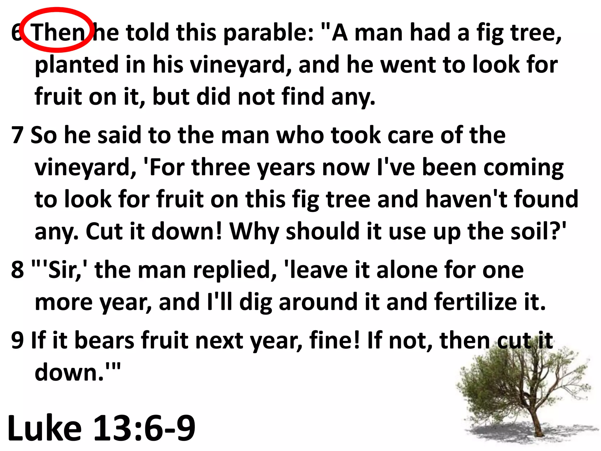 6 Then he told this parable: "A man had a fig tree,
   planted in his vineyard, and he went to look for
   fruit on it, but did not find any.
7 So he said to the man who took care of the
   vineyard, 'For three years now I've been coming
   to look for fruit on this fig tree and haven't found
   any. Cut it down! Why should it use up the soil?'
8 "'Sir,' the man replied, 'leave it alone for one
   more year, and I'll dig around it and fertilize it.
9 If it bears fruit next year, fine! If not, then cut it
   down.'"

Luke 13:6-9
 