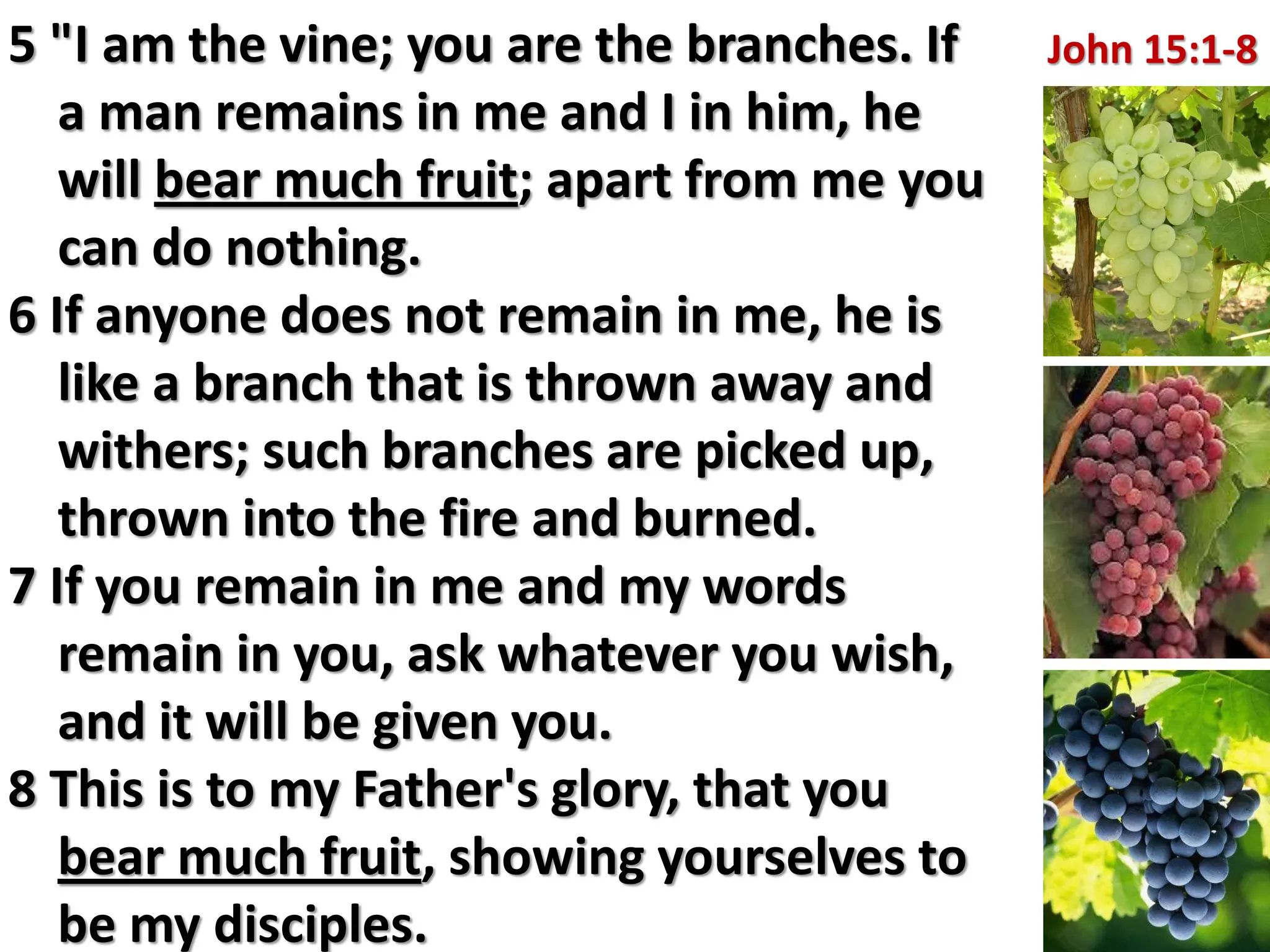 5 "I am the vine; you are the branches. If   John 15:1-8
   a man remains in me and I in him, he
   will bear much fruit; apart from me you
   can do nothing.
6 If anyone does not remain in me, he is
   like a branch that is thrown away and
   withers; such branches are picked up,
   thrown into the fire and burned.
7 If you remain in me and my words
   remain in you, ask whatever you wish,
   and it will be given you.
8 This is to my Father's glory, that you
   bear much fruit, showing yourselves to
   be my disciples.
 