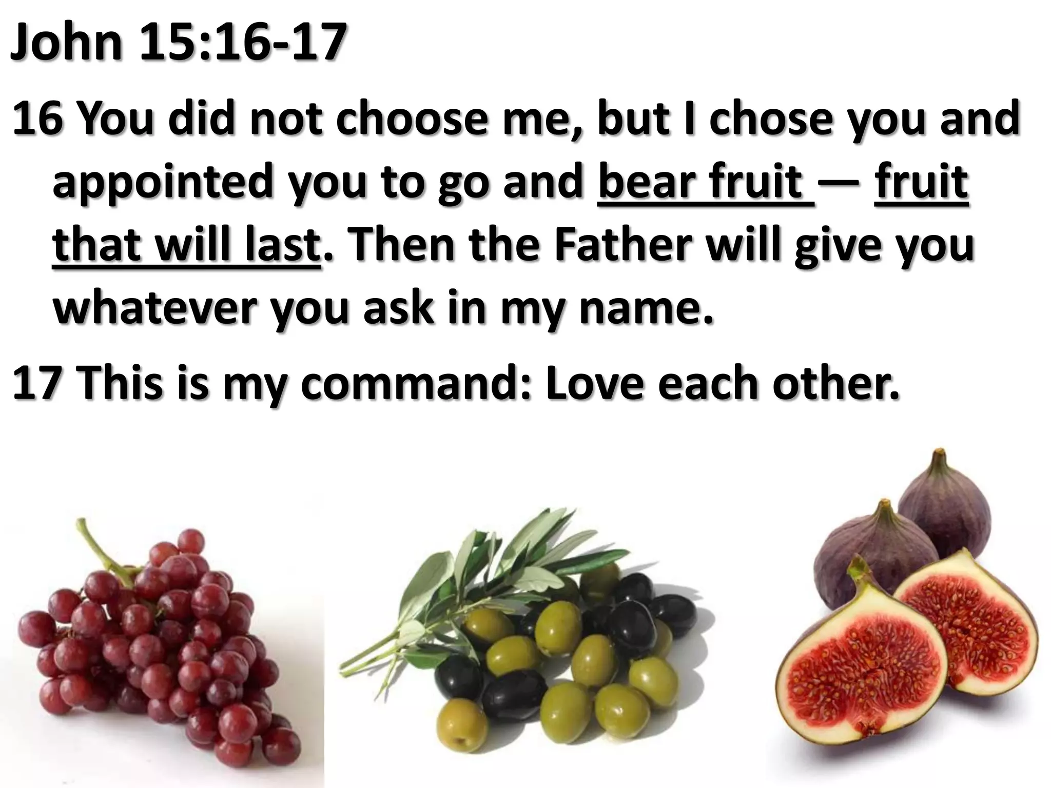 John 15:16-17
16 You did not choose me, but I chose you and
  appointed you to go and bear fruit — fruit
  that will last. Then the Father will give you
  whatever you ask in my name.
17 This is my command: Love each other.
 