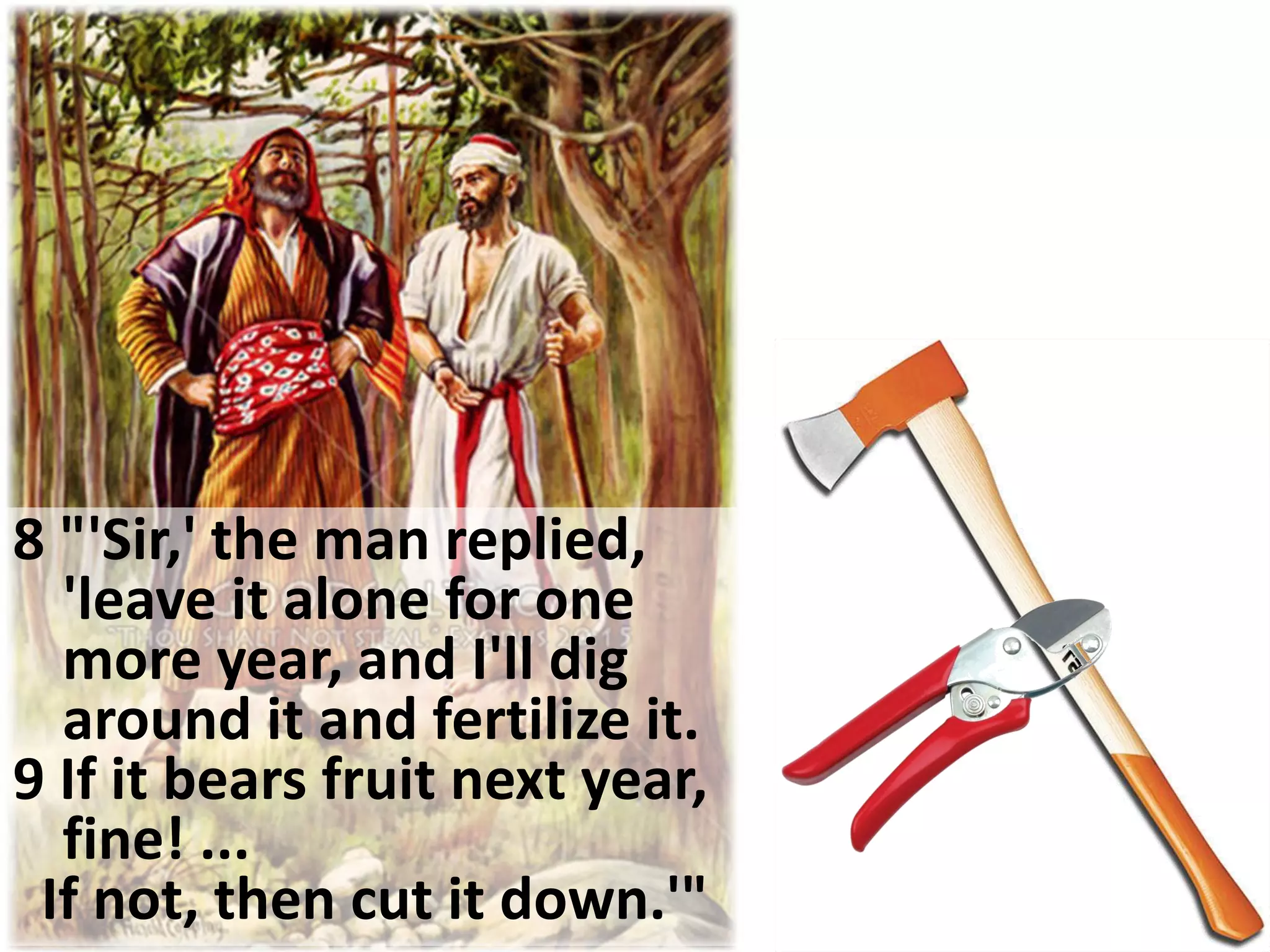 8 "'Sir,' the man replied,
  'leave it alone for one
  more year, and I'll dig
  around it and fertilize it.
9 If it bears fruit next year,
  fine! ...
 If not, then cut it down.'"
 