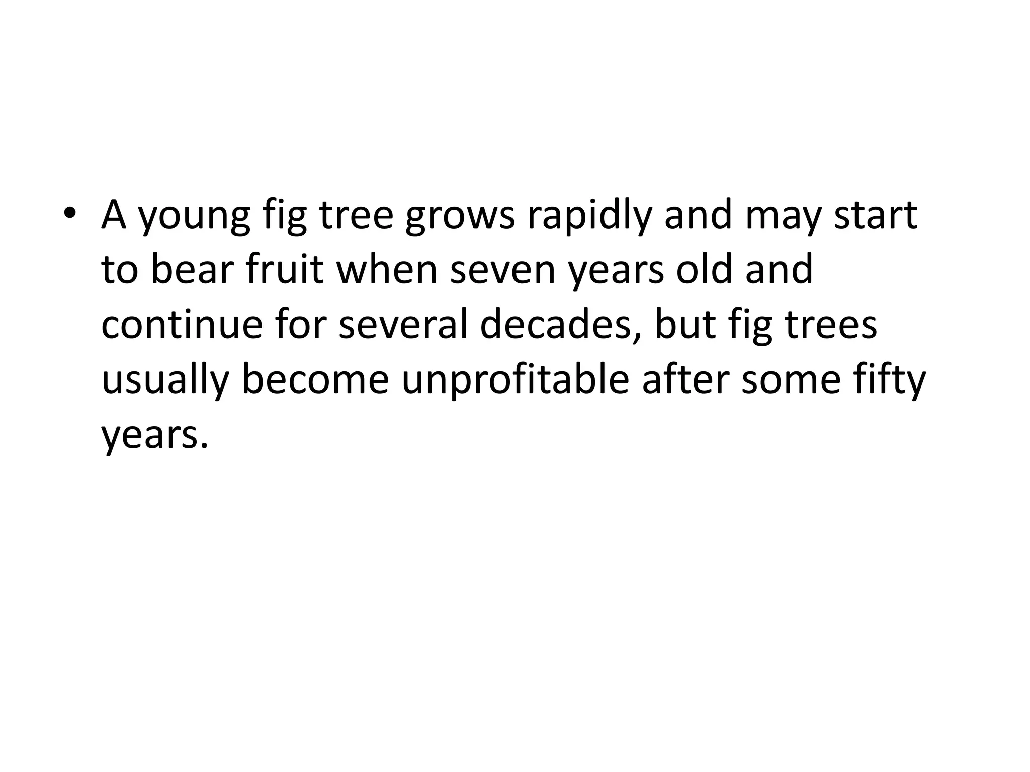 • A young fig tree grows rapidly and may start
  to bear fruit when seven years old and
  continue for several decades, but fig trees
  usually become unprofitable after some fifty
  years.
 