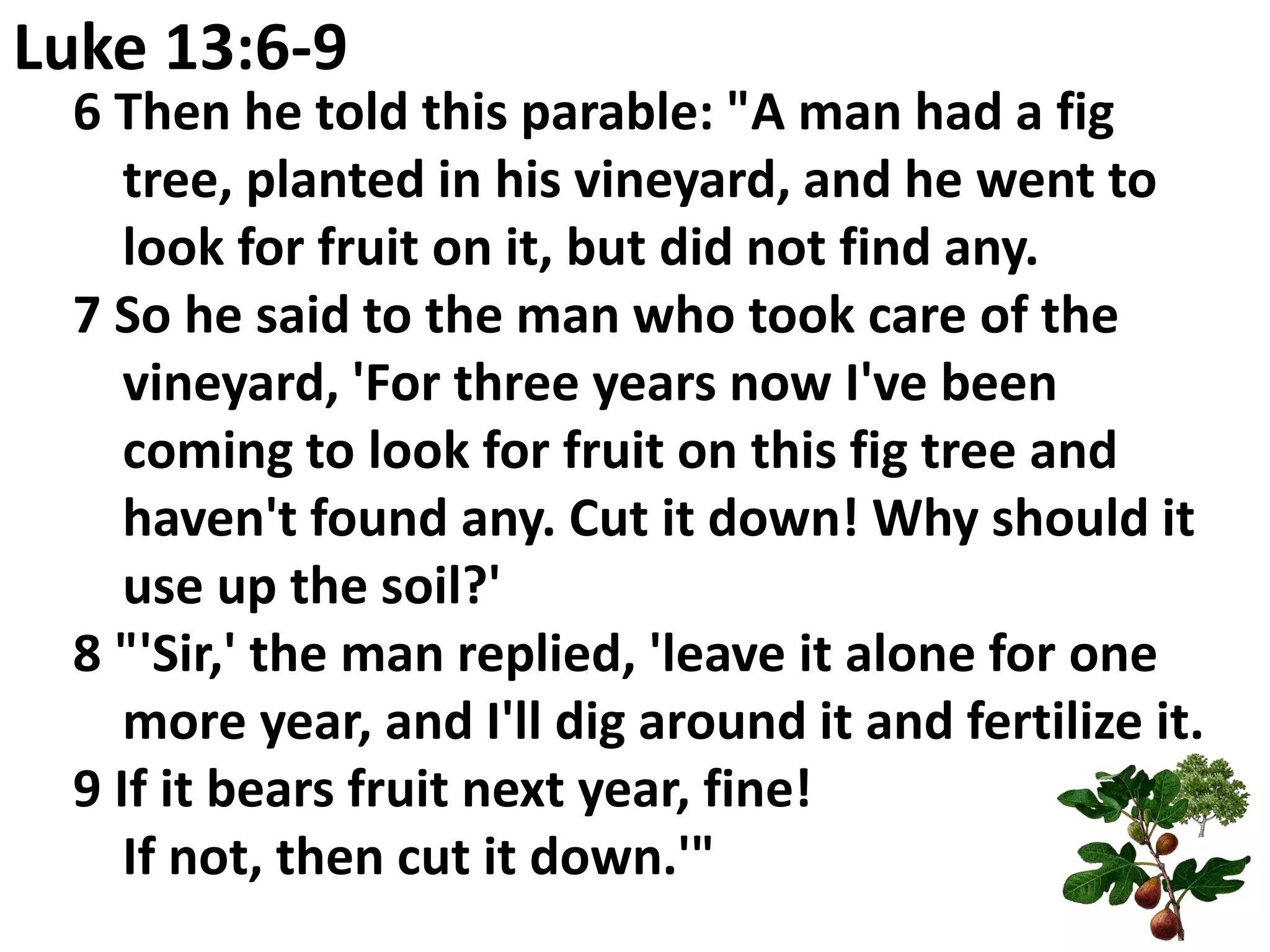 Luke 13:6-9
 6 Then he told this parable: "A man had a fig
    tree, planted in his vineyard, and he went to
    look for fruit on it, but did not find any.
 7 So he said to the man who took care of the
    vineyard, 'For three years now I've been
    coming to look for fruit on this fig tree and
    haven't found any. Cut it down! Why should it
    use up the soil?'
 8 "'Sir,' the man replied, 'leave it alone for one
    more year, and I'll dig around it and fertilize it.
 9 If it bears fruit next year, fine!
    If not, then cut it down.'"
 