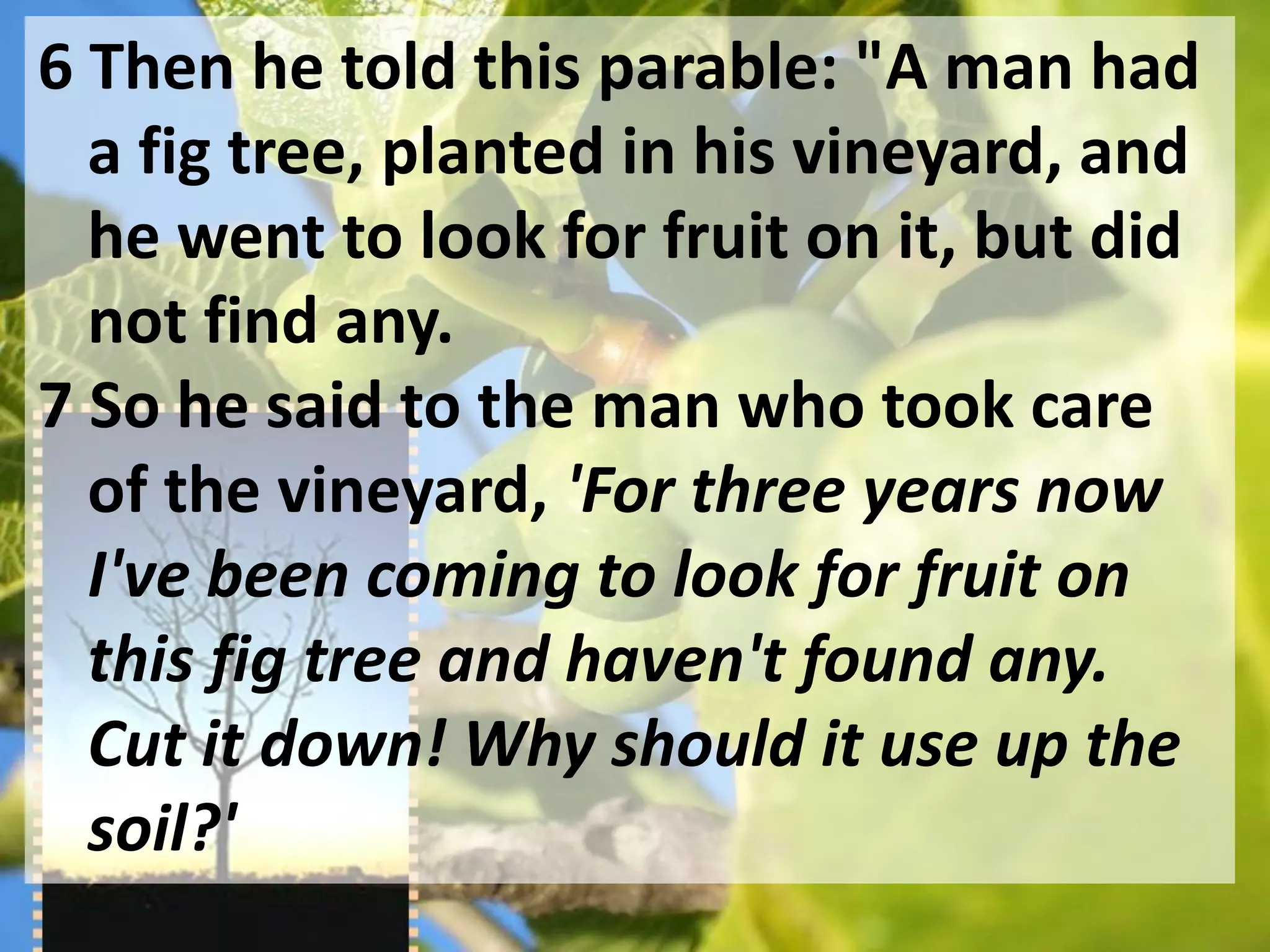 6 Then he told this parable: "A man had
  a fig tree, planted in his vineyard, and
  he went to look for fruit on it, but did
  not find any.
7 So he said to the man who took care
  of the vineyard, 'For three years now
  I've been coming to look for fruit on
  this fig tree and haven't found any.
  Cut it down! Why should it use up the
  soil?'
 
