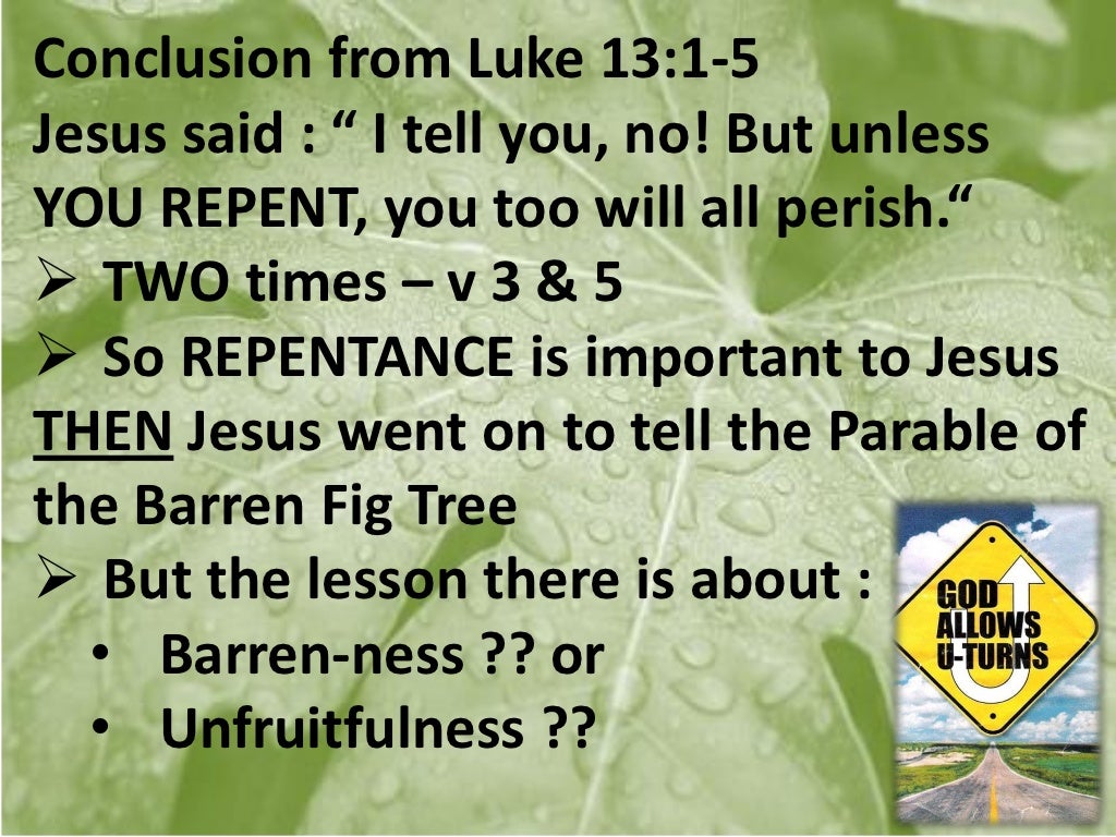 Parable of the barren fig tree Luke 13 6 9