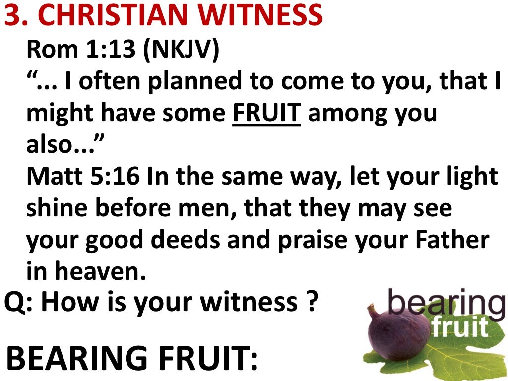 Parable of the barren fig tree Luke 13 6 9