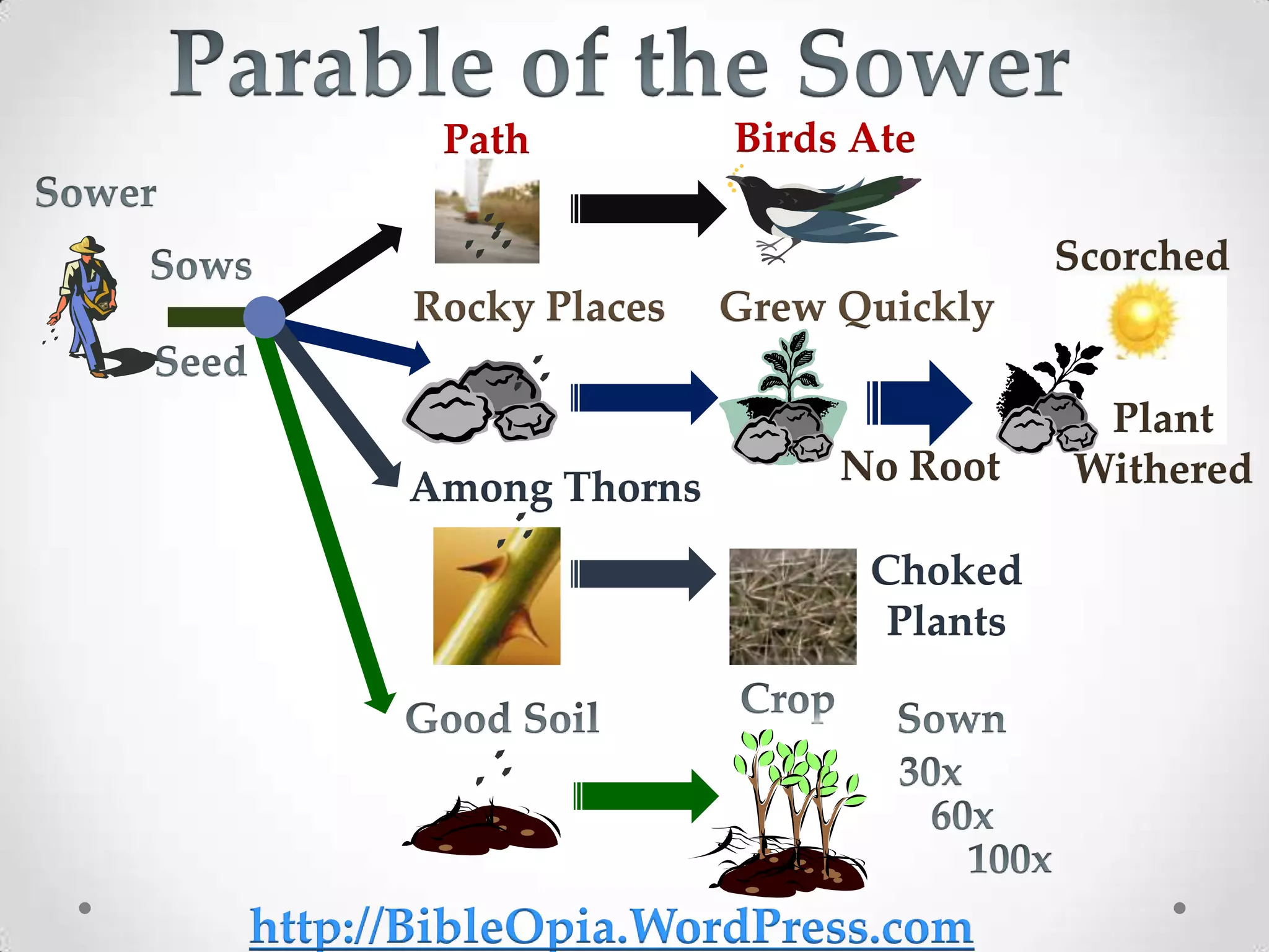 Path         Birds Ate

                                     Scorched
      Rocky Places   Grew Quickly

                                      Plant
                          No Root    Withered
      Among Thorns
                           Choked
                            Plants




http://BibleOpia.WordPress.com
 
