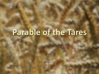Parable	of	the	Tares
 