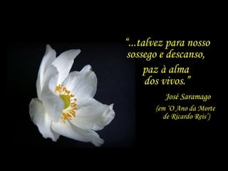 “...talvez para nosso
sossego e descanso,
paz à alma
dos vivos.”
(em ‘O Ano da Morte
de Ricardo Reis’)
José Saramago
 