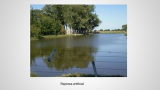 Represa artificial 
 