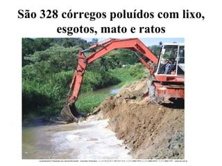 São 328 córregos poluídos com lixo, esgotos, mato e ratos 