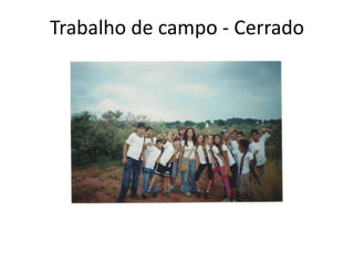Trabalho de campo - Cerrado
 