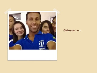 Gatosos ‘ u.u
 