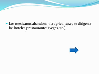  Los mexicanos abandonan la agricultura y se dirigen a
los hoteles y restaurantes (vegas etc.)
 