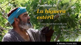 A. Méndez, 9 Junio 2021
Lc13:6
La higuera
estéril
<<vinoabuscarfrutoenella,yno
lohalló>>
Parábola de
 