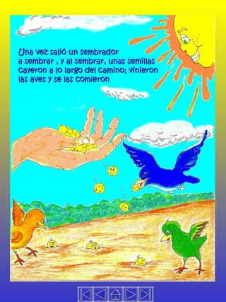 Una vez salió un sembrador  a sembrar , y al sembrar, unas semillas  cayeron a lo largo del camino; vinieron  las aves y se las comieron 