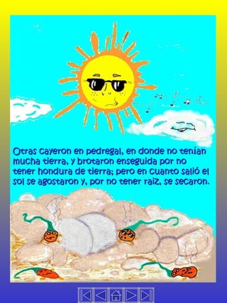 Otras cayeron en pedregal, en donde no tenían mucha tierra, y brotaron enseguida por no  tener hondura de tierra; pero en cuanto salió el sol se agostaron y, por no tener raiz, se secaron. 