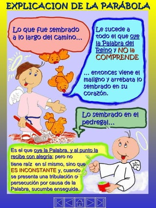 EXPLICACION DE LA PARÁBOLA Lo que fue sembrado  a lo largo del camino… Le sucede a todo el que  oye la Palabra del Reino  y  NO la COMPRENDE Lo sembrado en el pedregal… tiene raíz  en sí mismo, sino que  ES INCONSTANTE  y, cuando se presenta una tribulación o persecución por causa de la Palabra, sucumbe enseguida. Es el que  oye la Palabra, y al punto la recibe con alegría ; pero no …  entonces viene el maligno y arrebata lo sembrado en su corazón. 