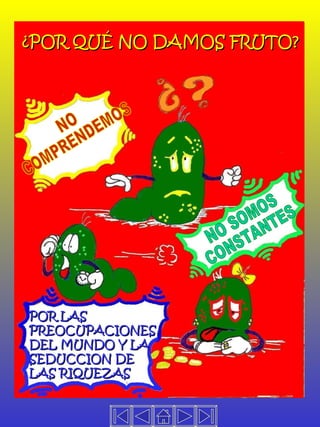 ¿POR QUÉ NO DAMOS FRUTO? NO COMPRENDEMOS NO SOMOS CONSTANTES POR LAS PREOCUPACIONES DEL MUNDO Y LA SEDUCCION DE LAS RIQUEZAS 