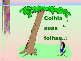 Colhia
suas
folhas...

5

 