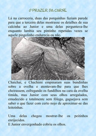 O Prazer da Carne
Lá na carroceria, duas das porquinhas faziam parede
para que a terceira delas mostrasse os detalhes de sua
calcinha ao Junior e uma delas perguntava-lhe
enquanto lambia seu pintinho repetidas vezes se
aquele pingolinho endurecia ou não.
Chaichai, e Chachimi empinaram suas bundinhas
sobre a ovelha e atentavam-lhe para que lhes
cheirassem, esfregando os fundilhos na cara da ovelha
tímida, mas Junior com seus olhos arregalados,
emudecido e totalmente sem fôlego, gaguejava sem
saber o que fazer com certo nojo de aproximar-se das
leitoínhas.
Uma delas chegou mostrar-lhe os peitinhos
enrijecidos.
E Junior envergonhado cobriu os olhos.
 