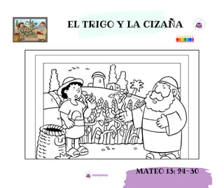 EL TRIGO Y LA CIZAÑA
MATEO 13: 24-30
 