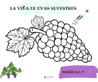 LA VIÑA DE UVAS SLVESTRES
ISAÍAS 5: 1-7
 