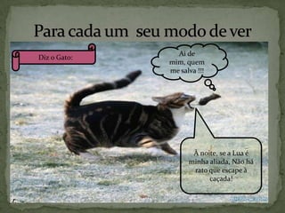 Diz o Gato:

Ai de
mim, quem
me salva !!!

À noite, se a Lua é
minha aliada, Não há
rato que escape à
caçada!

 