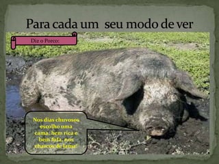 Diz o Porco:

Nos dias chuvosos
escolho uma
cama, bem rica e
bem fofa, nos
charcos de lama!

 