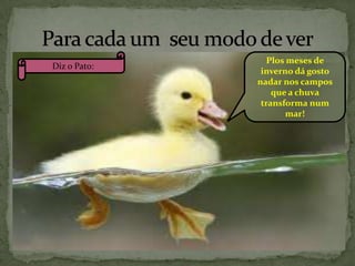 Diz o Pato:

Plos meses de
inverno dá gosto
nadar nos campos
que a chuva
transforma num
mar!

 