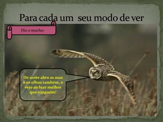 Diz o mocho:

De noite abro as asas
e os olhos também, e
vejo ao luar melhor
que ninguém!

 