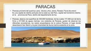 PARACAS
• Paracas proviene del quechua: para, ‘(lluvia) y Aco, arena, Paraaco "lluvia de arena“.
Es una capital de distrito portuaria de la costa sur del Perú, capital del homónimo distrito,
en la provincia de Pisco, dentro del departamento de Ica.
• Paracas, abarca una superficie de 335,000 hectáreas, de las cuales 117,406 son de tierra
firme y 217,594 de aguas marinas. Los visitantes de Paracas, gustan de observar los
diferentes ecosistemas, los restos arqueológicos de la cultura Paracas, el lugar donde
desembarcó San Martín y la gran diversidad de fauna marina existente en la zona.
 