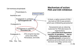 11 /38
11
Mechanism of action:
POX and COX inhibition
(This enzyme has two
active sites (POX –
Peroxidase, and COX)
In brain, a splice variant of COX-1
(termed as COX-3) was present,
which was inhibited by paracetamol
Paracetamol acts as reducing
substrate for POX (decreases its
regeneration)
(this is peroxide-level dependent
reaction: In periphery  due to
inflammation peroxides are
usually present; compared to
periphery, peroxide levels are low in
the brain since they cannot cross
BBB)
 