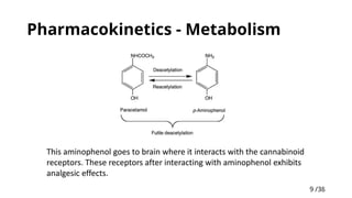 9 /38
9
Pharmacokinetics - Metabolism
 