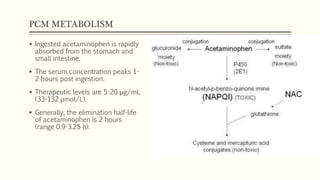PCM METABOLISM
 Ingested acetaminophen is rapidly
absorbed from the stomach and
small intestine.
 The serum concentration peaks 1-
2 hours post ingestion.
 Therapeutic levels are 5-20 µg/mL
(33-132 µmol/L).
 Generally, the elimination half-life
of acetaminophen is 2 hours
(range 0.9-3.25 h).
 