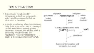 PCM METABOLISM
 It is primarily metabolized by
conjugation in the liver to nontoxic,
water-soluble compounds that are
eliminated in the urine.
 In acute overdose or when the maximum
daily dose is exceeded over a prolonged
period, metabolism by conjugation
becomes saturated, and excess APAP is
oxidatively metabolized to the
hepatotoxic reactive metabolite N-
acetyl-p -benzoquinoneimine (NAPQI).
 