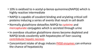 • 10% is oxidised to n-acetyl-p-benzo quinonines(NAPQI) which is
highly reactive intermediate
• NAPQI is capable of covalent binding and arylating critical cell
proteins inducing a series of events that result in cell death
• Normally glutathione detoxifies NAPQI to cysteine and
mercapturate conjugates which is secreted through urine
• In overdose situation glutathione stores become depleted and
NAPQI binds covalently with hepatocytes of liver causing
centrilobular hepatic necrosis
• Concomitant intake of drugs induces P450 enzymes can enhance
the chance of hepatoxicity
 