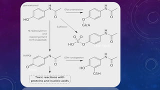 NON
TOXIC
Non toxic
Toxic
 