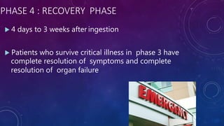 PHASE 4 : RECOVERY PHASE
 4 days to 3 weeks after ingestion
 Patients who survive critical illness in phase 3 have
complete resolution of symptoms and complete
resolution of organ failure
 